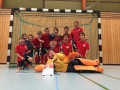 Halle 2017/2018